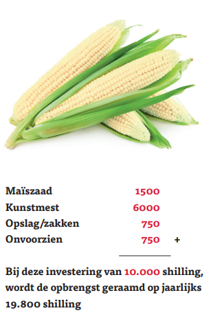 Begroting per gezin in Keniaanse shilling: maïszaad 1500, kunstmest 6000, opslag/zakken 750, onvoorzien 750. Bij deze investering van 10.000 shilling wordt de opbrengst geraamd op jaarlijks 19.800 shilling.